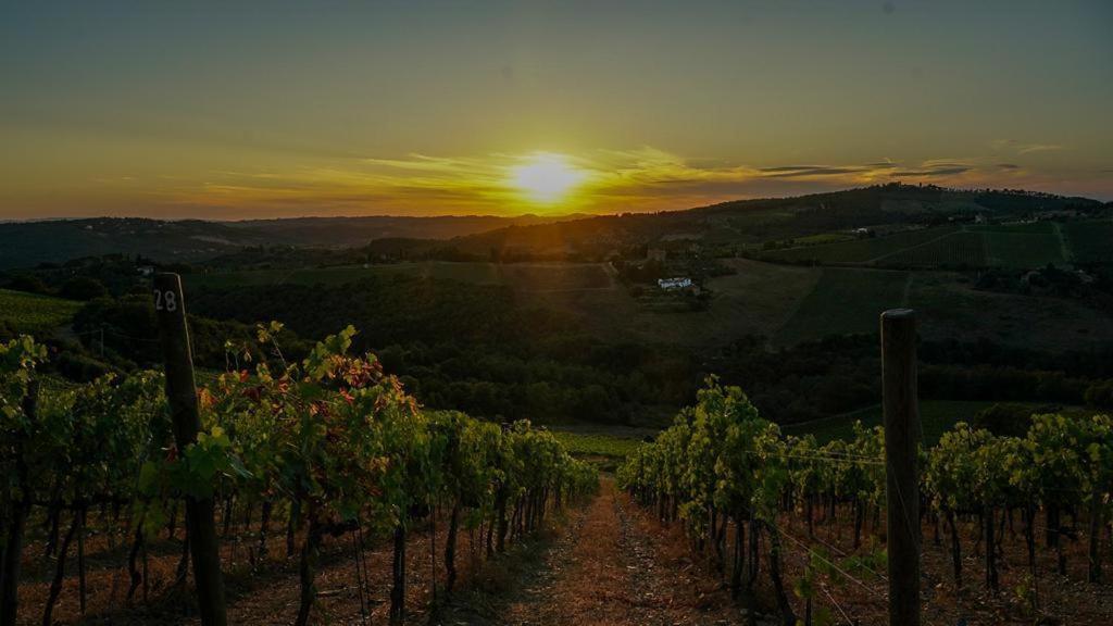 Villa Toscana Il Capiteto Panzano in Chianti Buitenkant foto