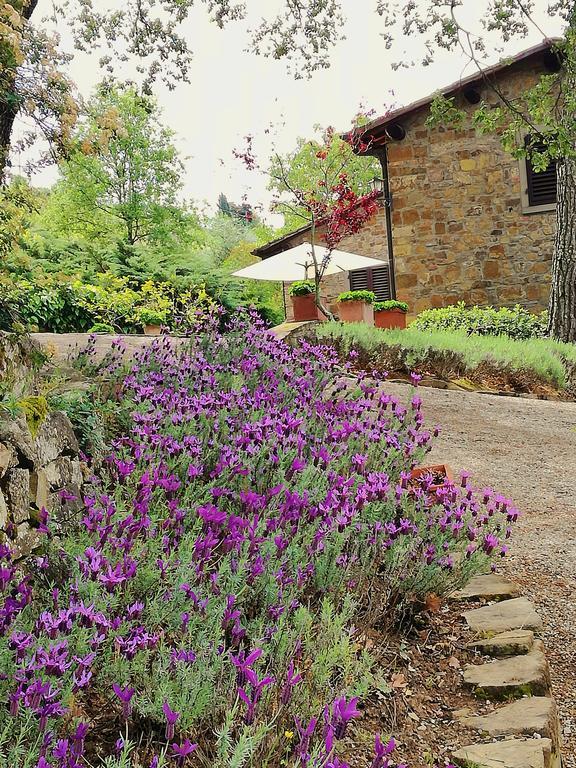 Villa Toscana Il Capiteto Panzano in Chianti Buitenkant foto